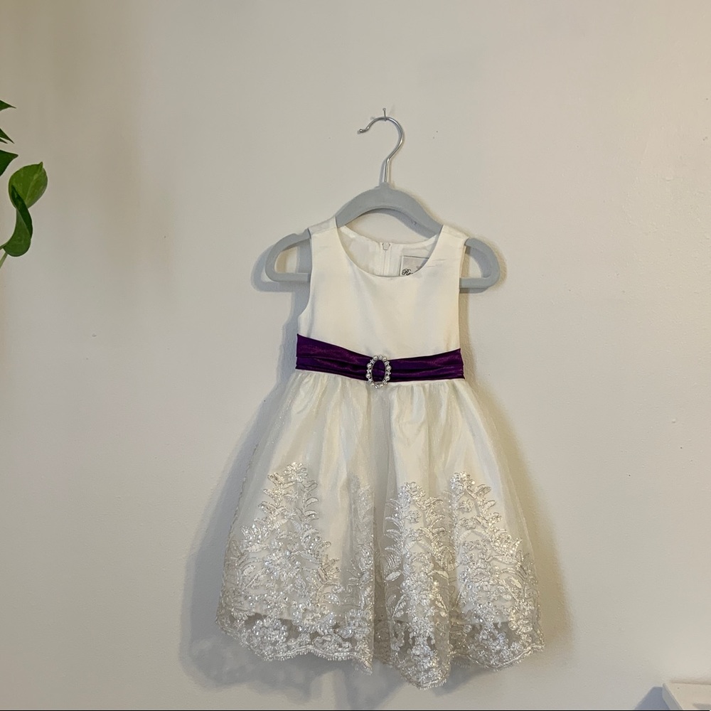 Rare Editions flower girl dress plum 2T